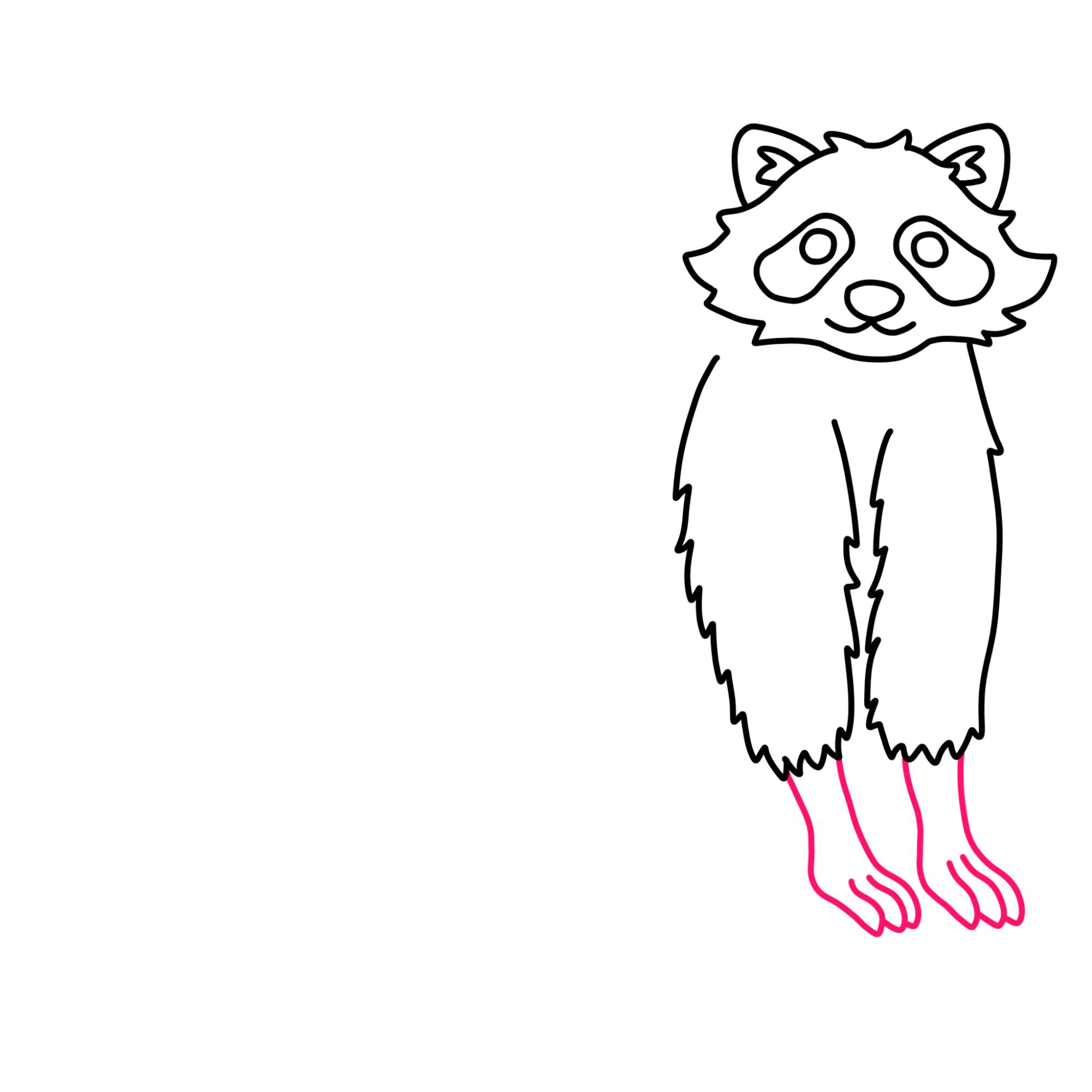 Raccoon Drawing - Step-8