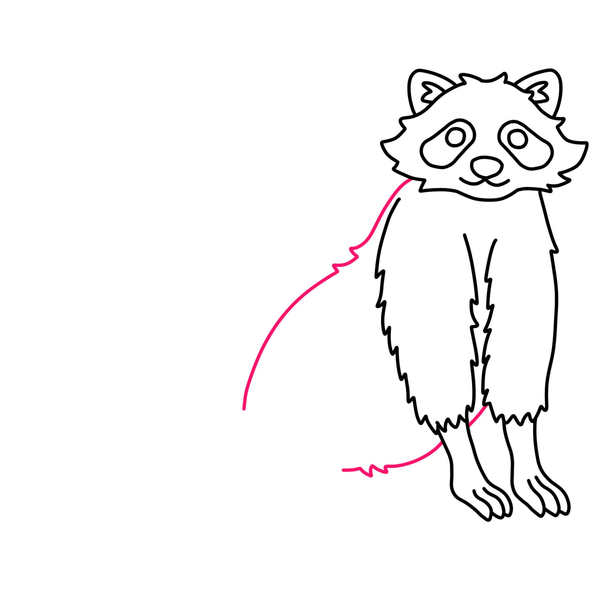 Raccoon Drawing - Step-9