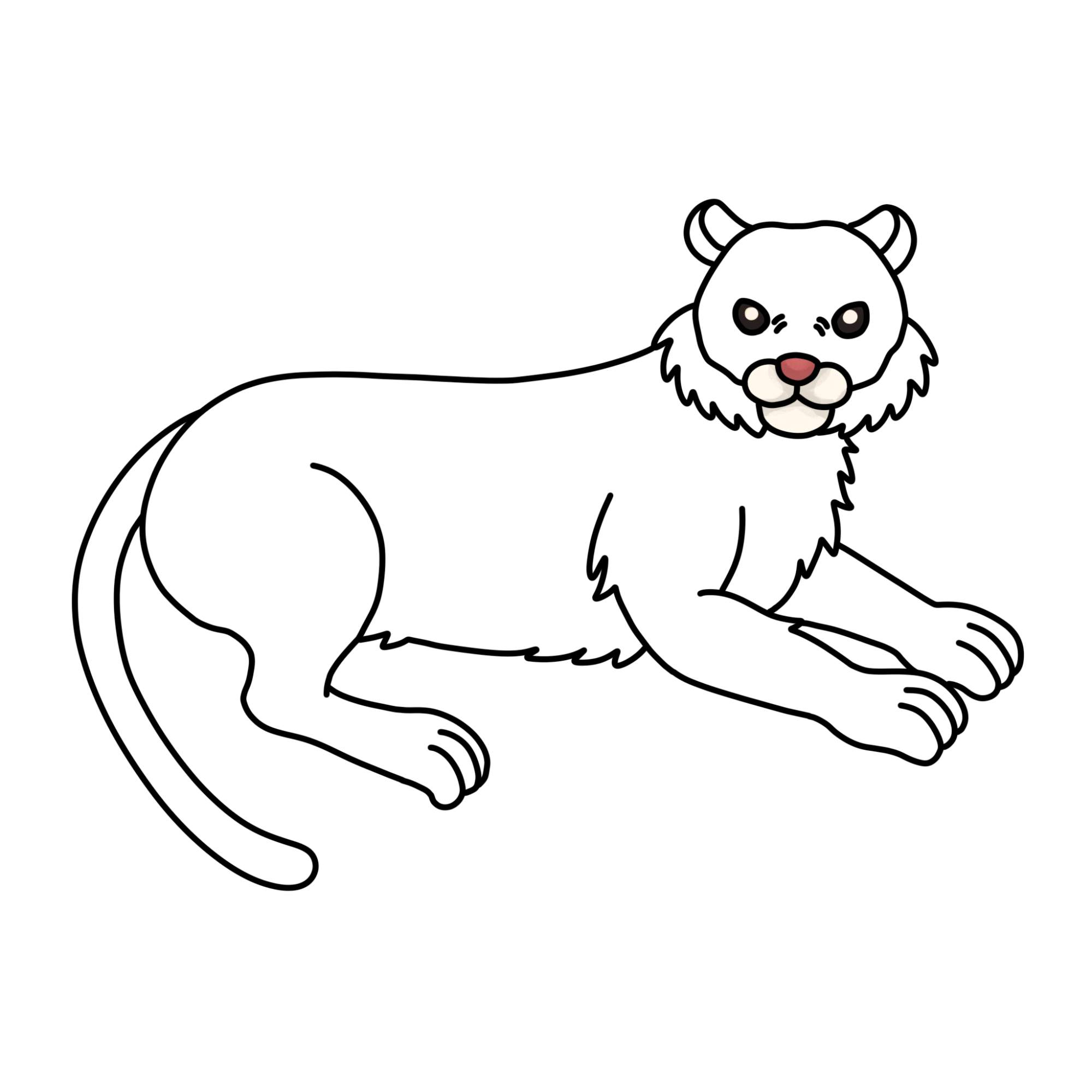 Tiger Drawing for Kids - Step-13