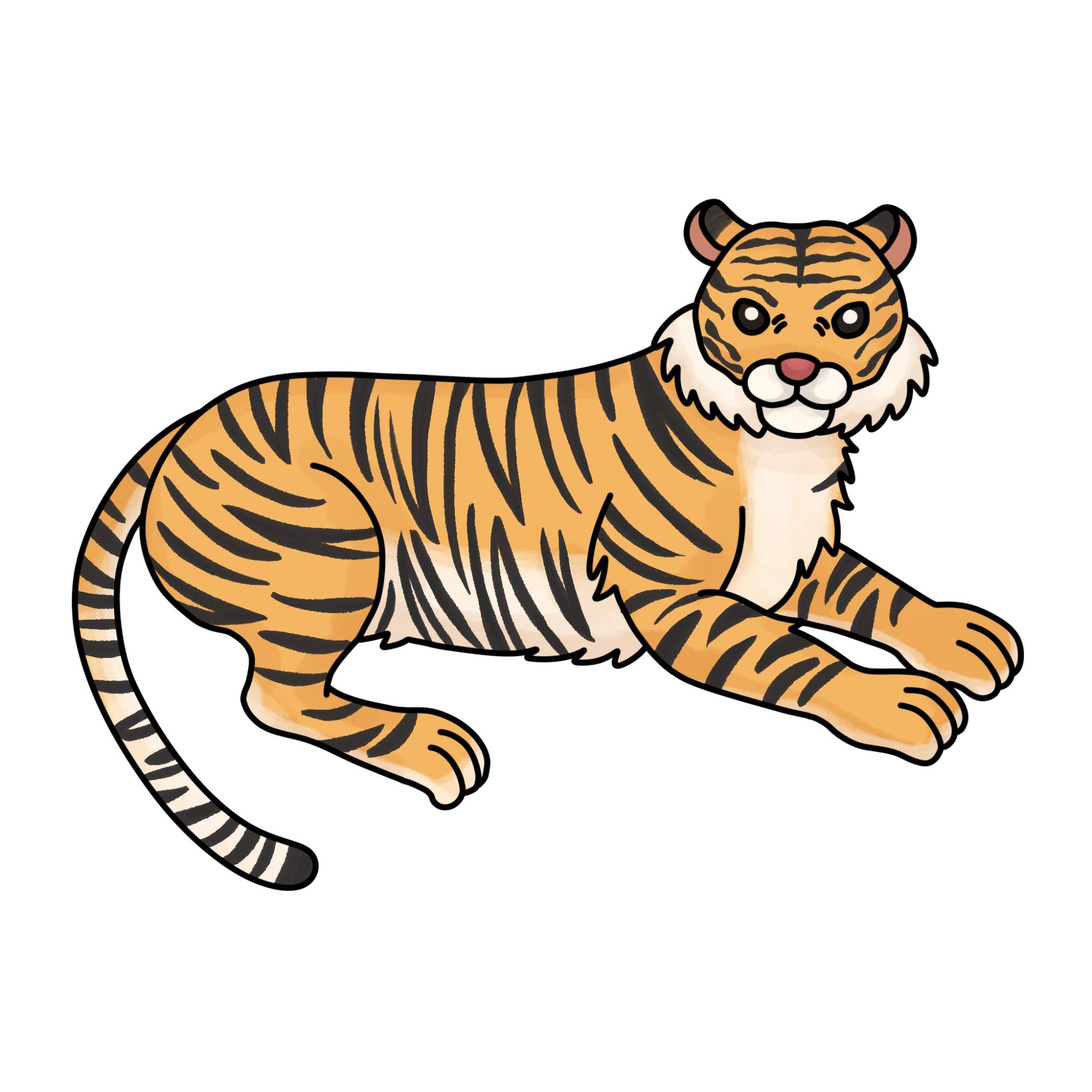 Tiger Drawing for Kids - Step-15