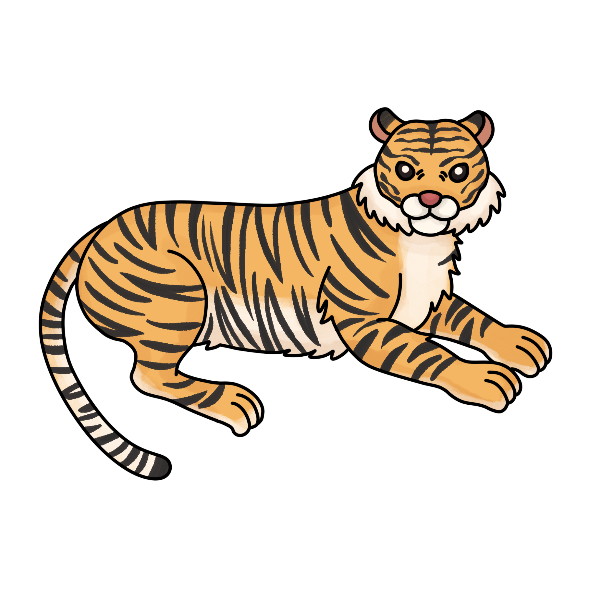 Tiger Drawing for Kids